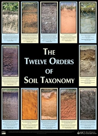 soil taxonomy